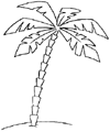 Dibuja un árbol de palma