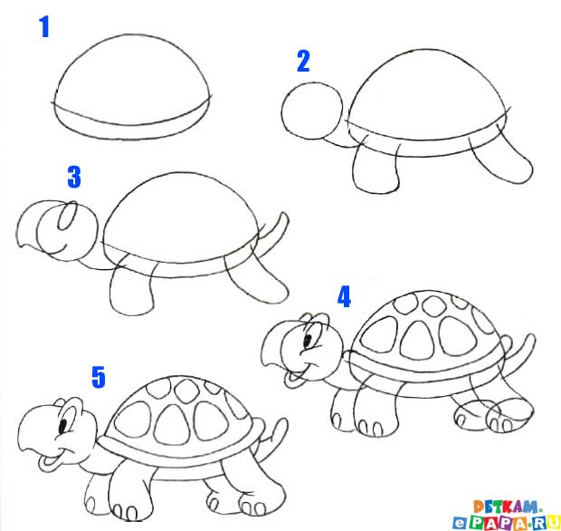 Cómo dibujar una tortuga? ¿Cómo dibujar animales?. Aprender a dibujar